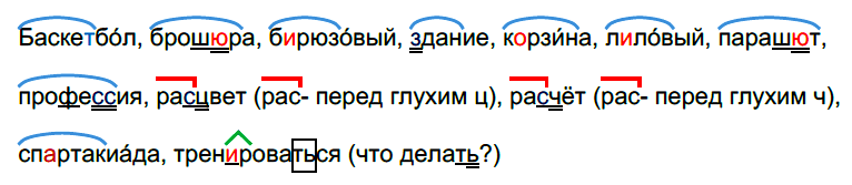 Русский язык Ладыженская Учебник §§1-4