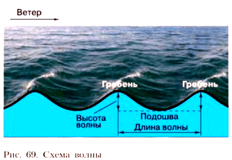 География 6 Алексеев §30