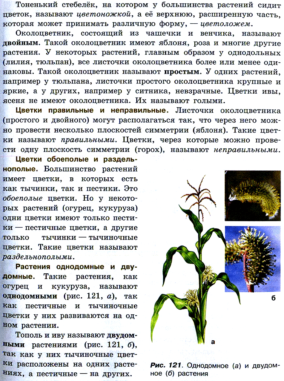 Биология 5-6 Пасечник Учебник §46-49