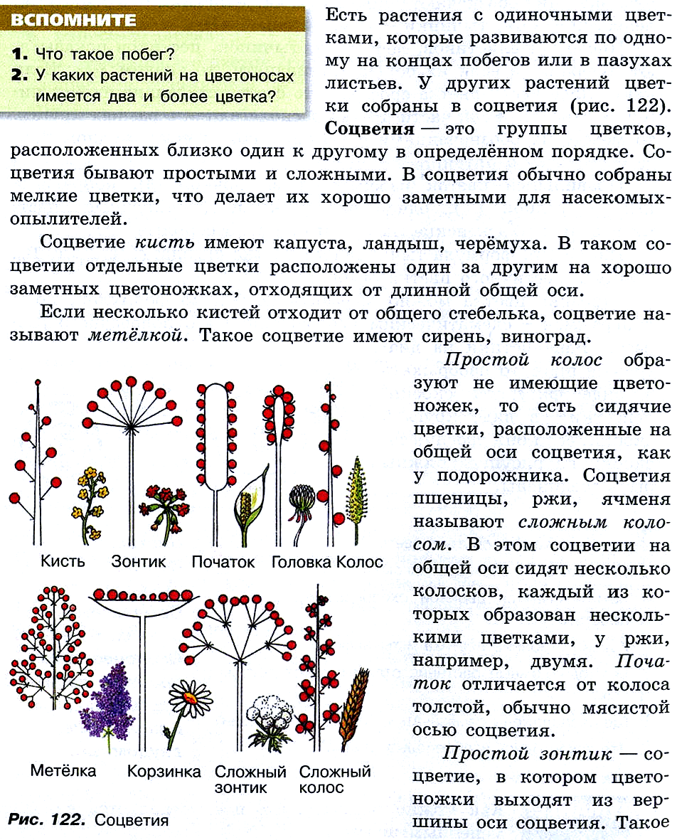 Биология 5-6 Пасечник Учебник §46-49
